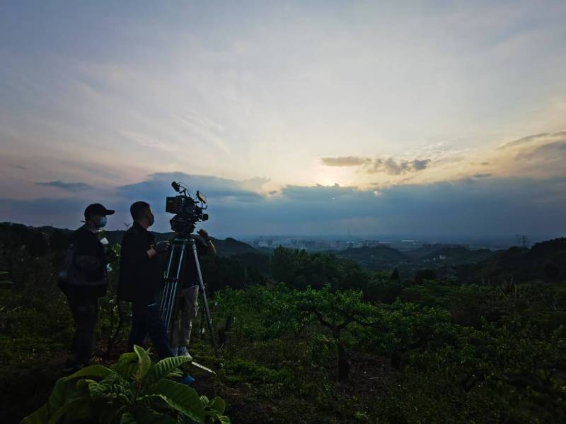 聚焦庄浪县产品宣传视频拍摄公司，用专业实力铸就品牌传播传奇